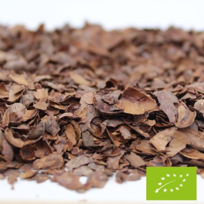 Infusion écorce de cacao BIO*