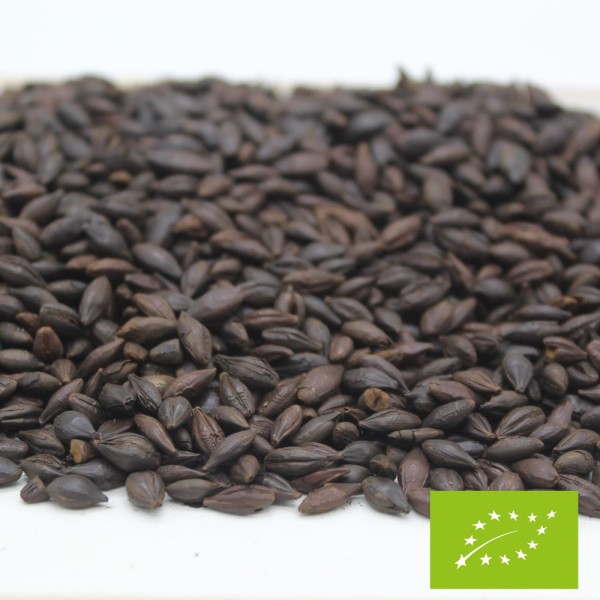 Infusion Orge Torréfié BIO*
