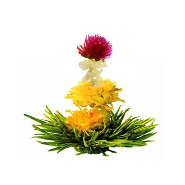 Fleur de Thé - Spring Melody - Chine